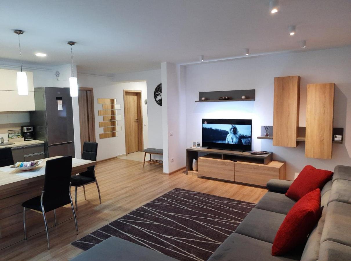 Sorin'S Comfortable Apartment Брашов Экстерьер фото