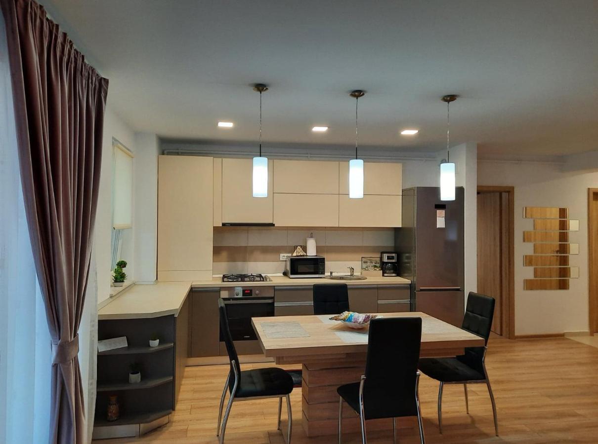 Sorin'S Comfortable Apartment Брашов Экстерьер фото