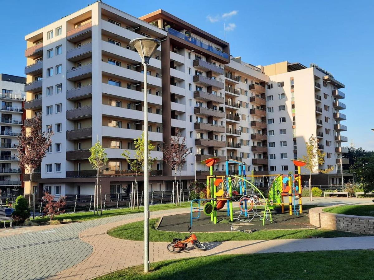 Sorin'S Comfortable Apartment Брашов Экстерьер фото